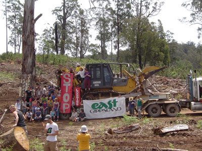 sixty people in goongerah coupe