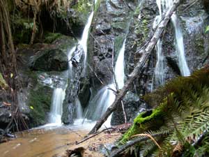 goongerah creek