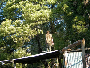 dismantling the sheds