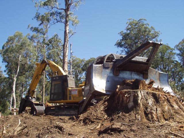 Logging machine in coupe at Bonang River coupe