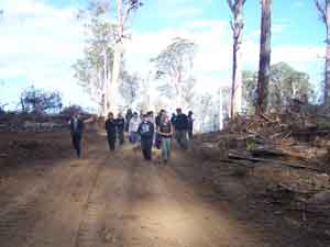 Arriving at Forest Blockade