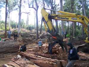 forest blockade aspen battery