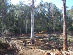 forest logging aspen battery