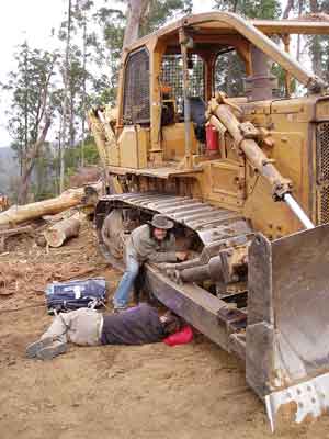 protesters locked to bulldozer in old growth logging coupe