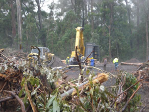 Logging coupe bordering Snowy River National Park